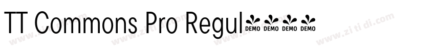 TT Commons Pro Regul字体转换 TT Commons Pro Regul字体转换